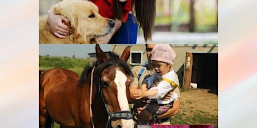 Animal Assisted Social Work