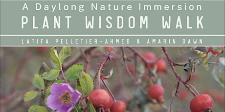 Plant Wisdom Walk