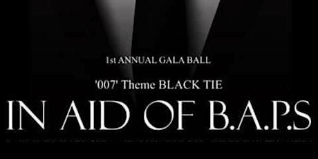 007 Themed 1st Annual Gala Ball in aid of Bandon Autism Parent Support primary image