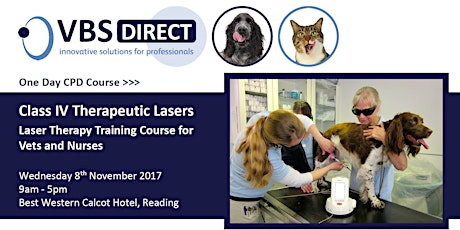 K-Laser Operator Training Course for Vets and Nurses primary image