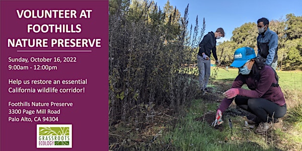 Volunteer Outdoors in Palo Alto at Foothills Nature Preserve