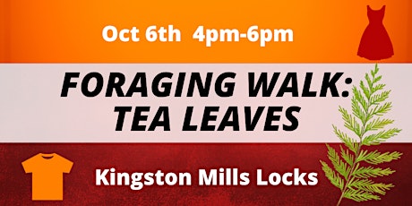Foraging Walk: Tea Leaves