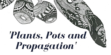 Plants Pots and Propagation primary image