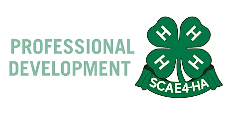 SCAE4-HA Professional Development at Nemours