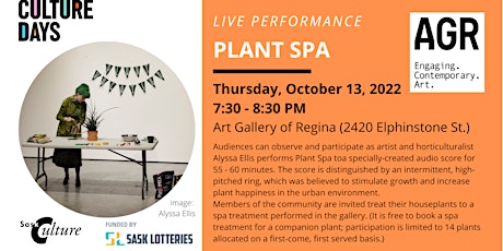 Plant Spa: Book A Spa Treatment for Your Plant