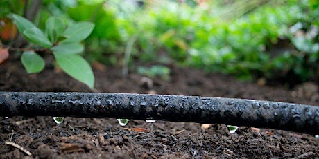 Hauptbild für Water Wise Gardening