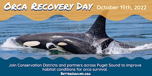 Orca Recovery Day  in Marysville