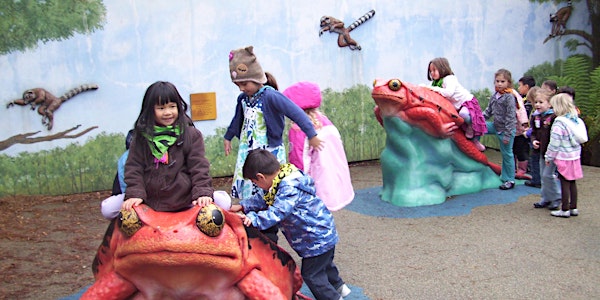 Zoo Kids - Wild About Primates