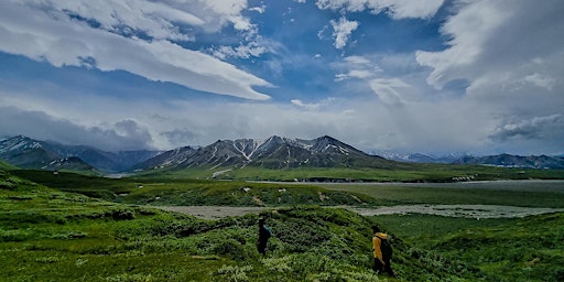Road-Trip in Alaska: Denali and Wrangell-St. Elias NPs, with moderate hikes primary image
