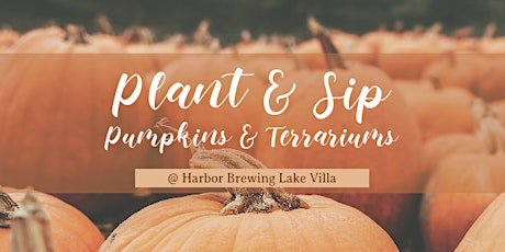 Plant & Sip | Succulent Terrariums & Pumpkin Planters