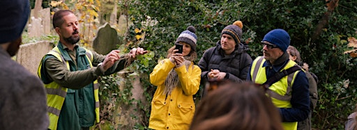 Collection image for Foraging: Wild Food Walks in London