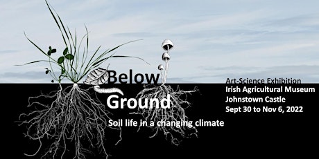 Below Ground: Soil life in a changing climate