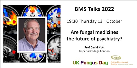 Are fungal medicines the future of psychiatry?