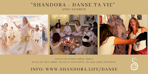 Cours "Shandora - Danse ta vie"