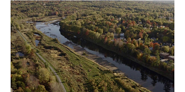 Migratory bird workshop at Marysville flats
