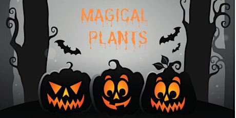 Magical Plants Demonstration for Families