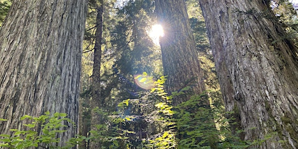 Fire Across the Land:  Truth and Reconciliation Workshop for UBC Science