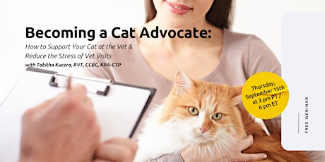 Becoming a Cat Advocate: How to Support Your Cat at the Vet