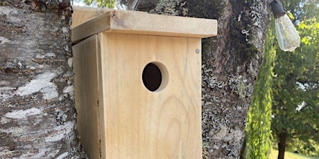 WildWings Wrap and Artist's Nest Box Auction