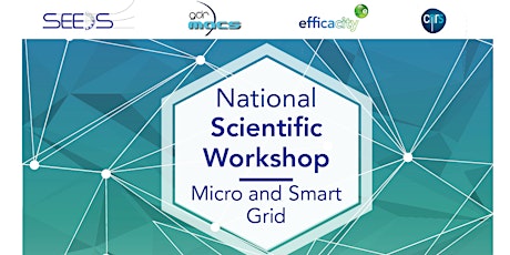 Image principale de National Scientific Workshop - Micro and Smart Grid 2017