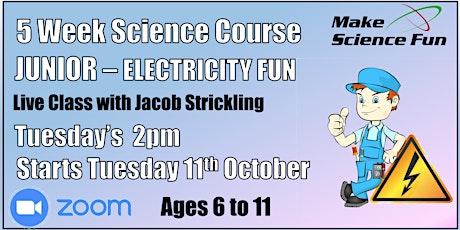 Junior Electricity Fun - Online Course - Ages 6 to 11