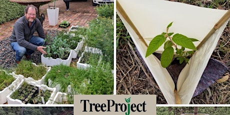 TreeProject – how passionate volunteers can grow a forest