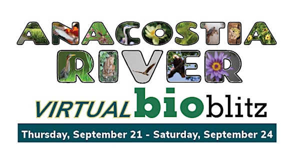 Anacostia Bioblitz: Identification Party