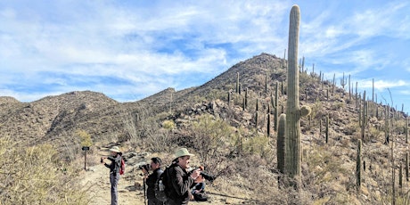 Road-Trip to Saguaros and Petrified Forest National Parks, w/moderate hikes