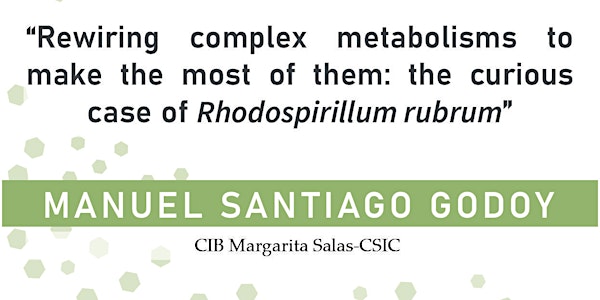 Rewiring complex metabolisms: the curious case of Rhodospirillum rubrum