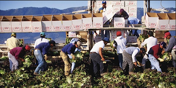 WCAHS Fall Symposium: Diverse approaches to agricultural health & safety 