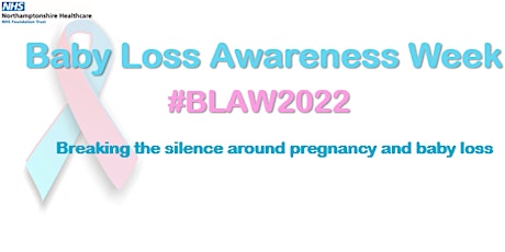 BLAW 2022 - Pregnancy after loss [Online Attendance]