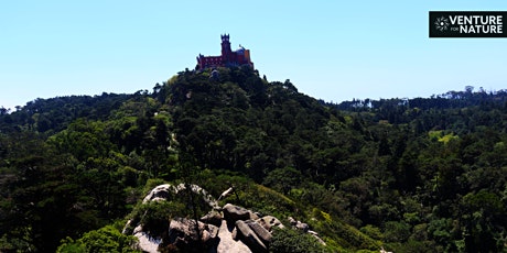 Imagem principal de Hiking From Guincho To The Historical Center Of Sintra