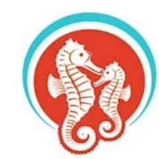 Seahorse Institute: Donate to our Cause primary image