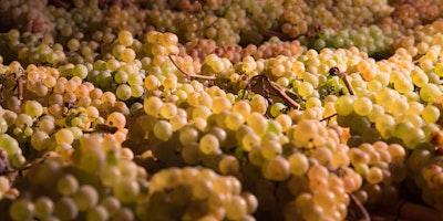 EVENTI DI-VINI: IN SALOTTO CON L'ENOLOGO, autunno 2017 - serata 4 EVENTI DI-VINI: IN SALOTTO CON L'ENOLOGO, autunno 2017 - serata 4