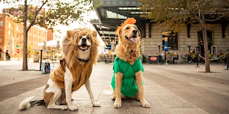 Howl-a-Ween Pet Parade at Denver Union Station