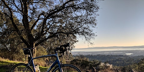 Immagine principale di Forestazione periurbana a supporto della mobilità ciclabile 