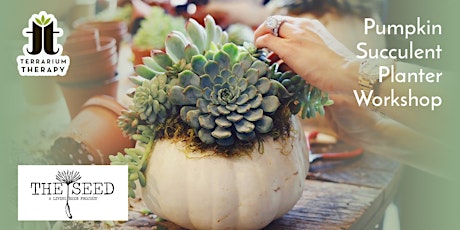 In-Person Pumpkin Succulent Workshop at The Seed: A Living Beer Project