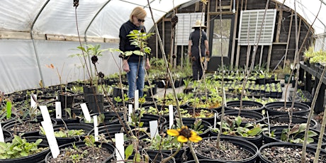 Ruffner Mountain Member In-Person Fall Native Plant Sale