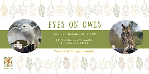 Eyes on Owls at Farrington Nature Linc - October 2022