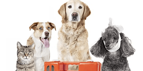 CERT Pet Emergency Preparedness & Response Seminar