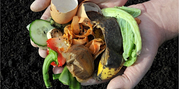 Urban Composting Basics by Turn Compost