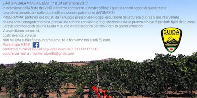 Pedala mangia e bevi: Tour in e-bike tra vigne e borghi nel cuore del monferrato Pedala mangia e bevi: Tour in e-bike tra vigne e borghi nel cuore del monferrato
