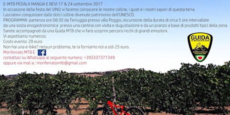 Immagine principale di Pedala mangia e bevi: Tour in e-bike tra vigne e borghi nel cuore del monferrato  