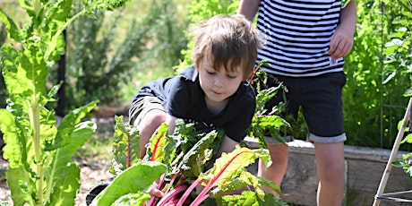 Gardening with Kids primary image