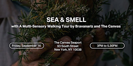 SEA AND SMELL: A Multi-Sensory Walking Tour by Bravanariz and The Canvas