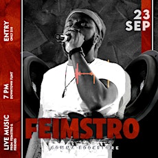 The Feimstro Show primary image