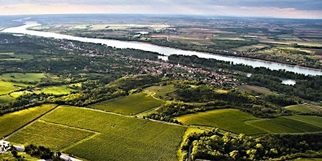 Discovery tour - local reds from the Danube Basin  Masterclass primary image