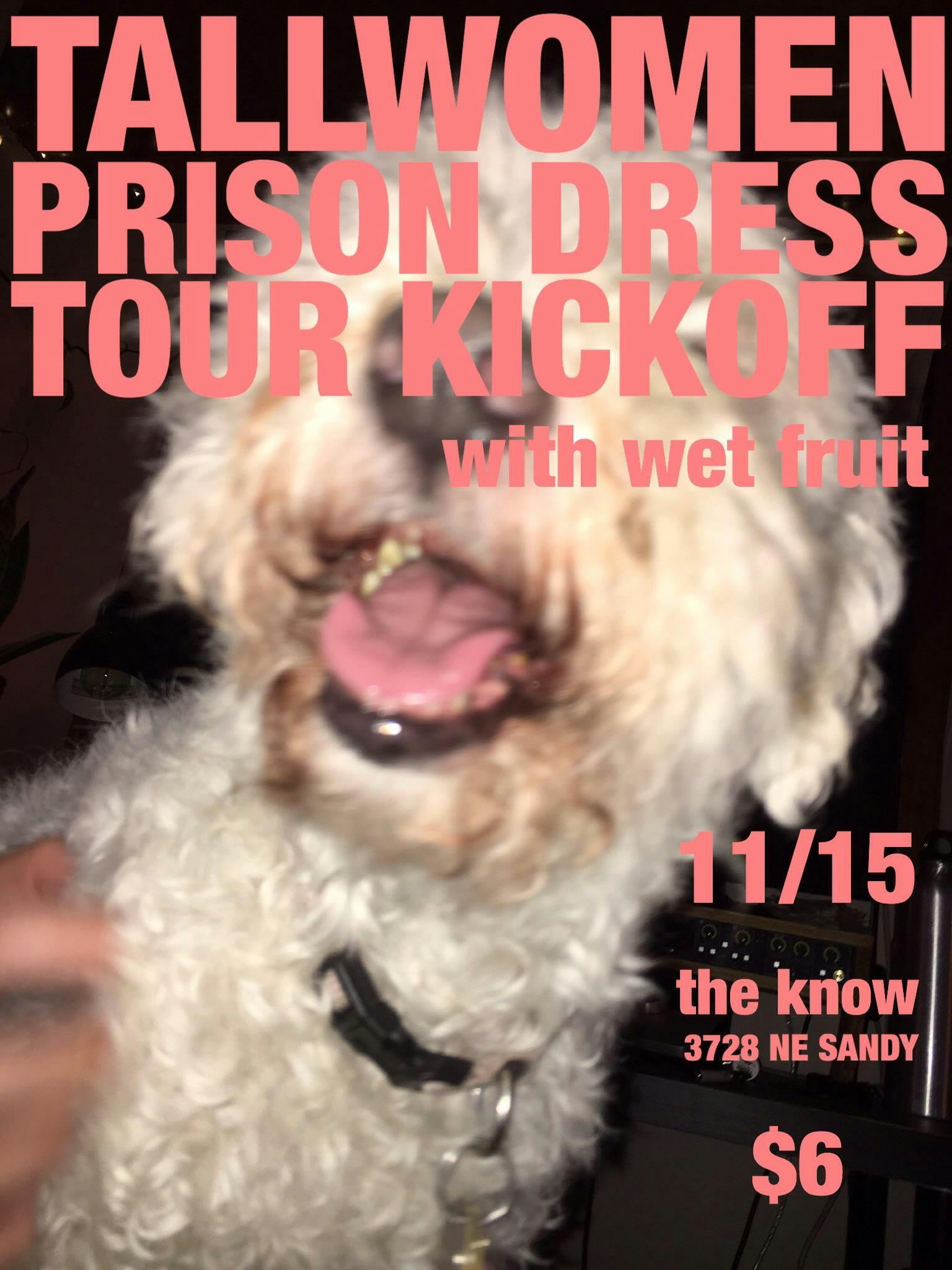 Prison Dress // Tallwomen // Wet Fruit