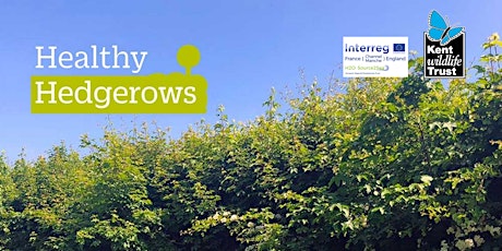 Healthy Hedgerow Management and Survey Workshop - 13th October 2022