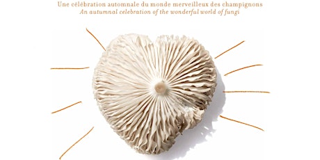 Promenade aux champignons. Mushroom Identification & Art Activity. primary image